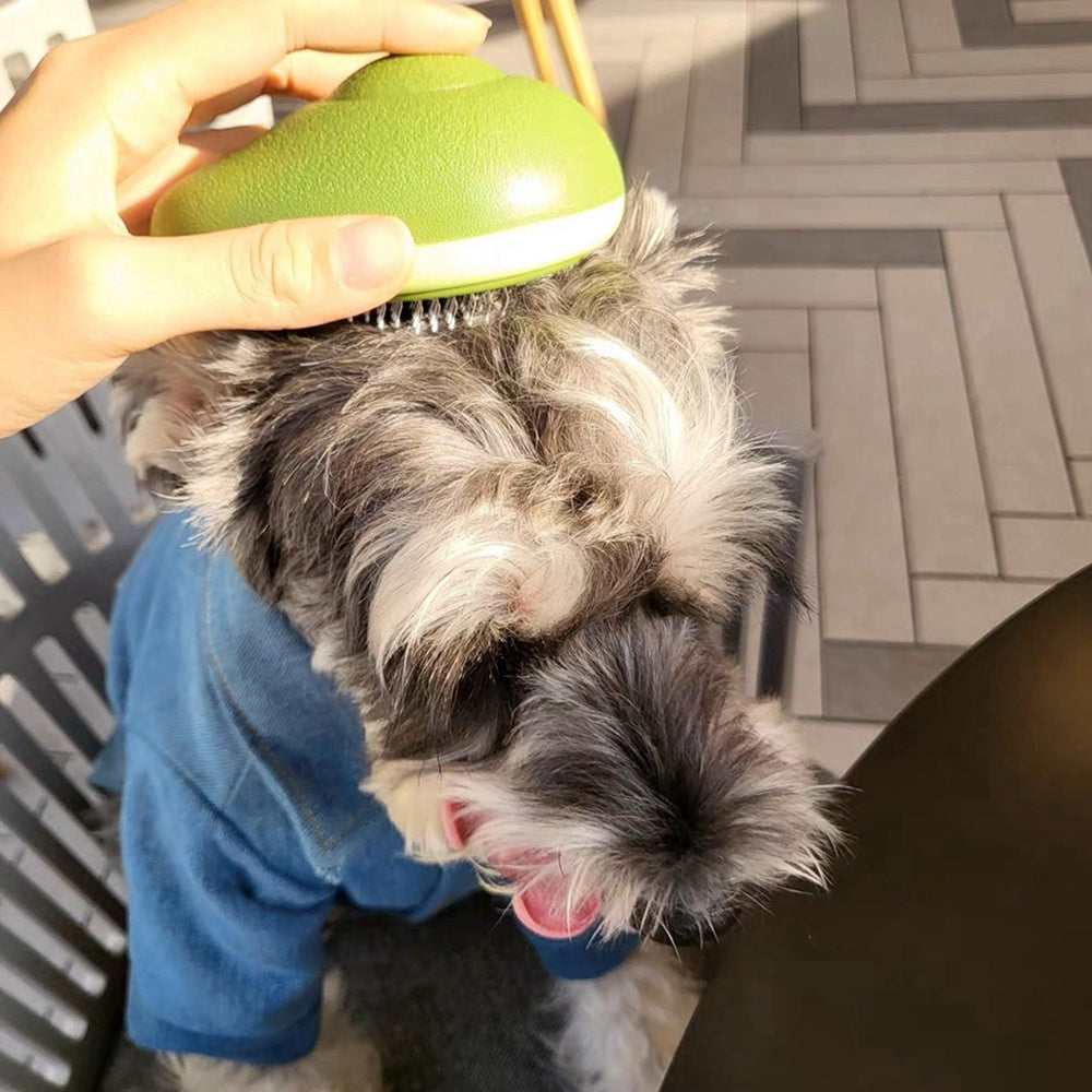 Self-Cleaning Pet Brush - One-Button Hair Removal for Dogs & Cats
