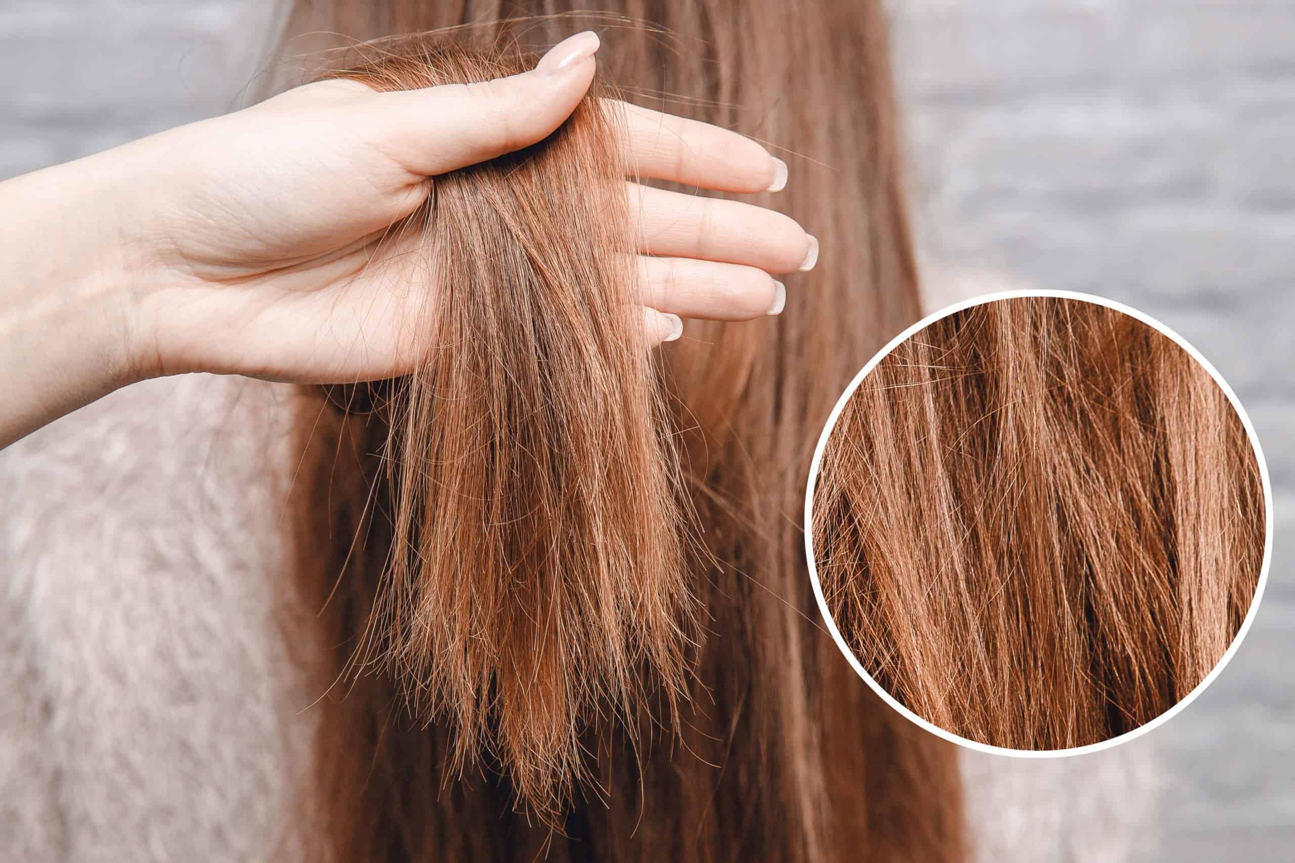 Say Goodbye to Damaged Hair- Easy Treatments to Restore Your Locks